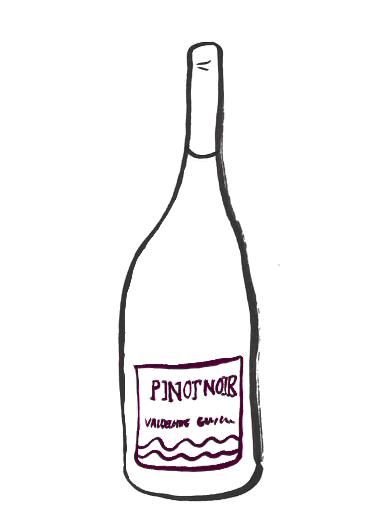 Pinot Noir 2022 Loire Emile Wines