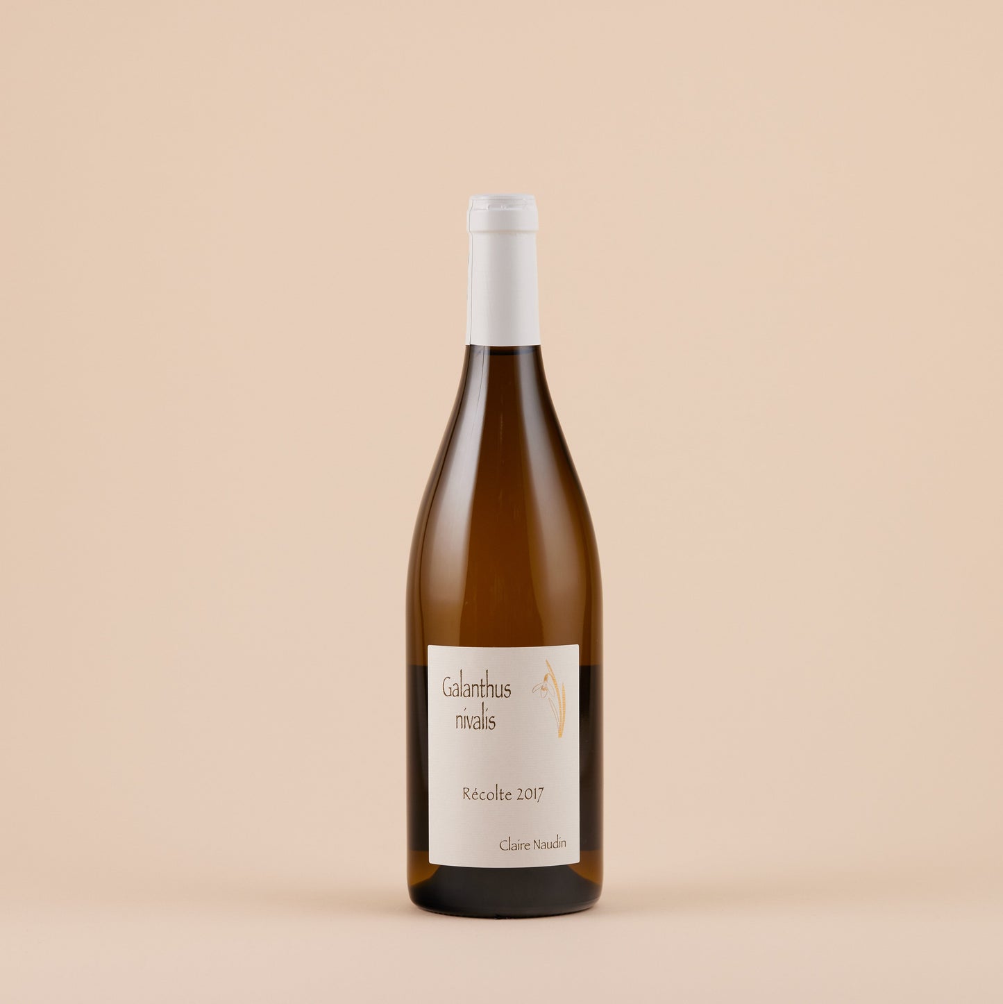 Galanthus Nivalis Pinot Blanc VdF, 2022 | Hautes-Côtes, Burgundy