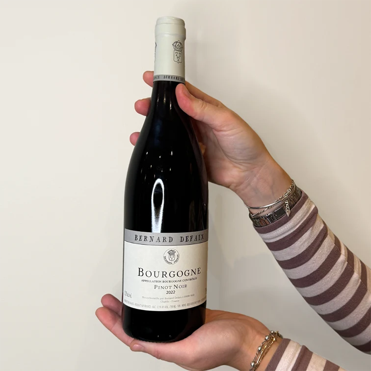 Bourgogne Rouge, 2022| Auxerrois, Burgundy