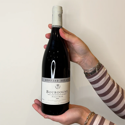 Bourgogne Rouge, 2022| Auxerrois, Burgundy