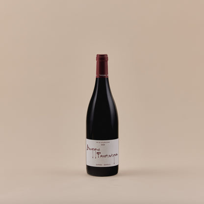 Bourgogne Passetoutgrain, 2020| Côte de Beaune, Burgundy