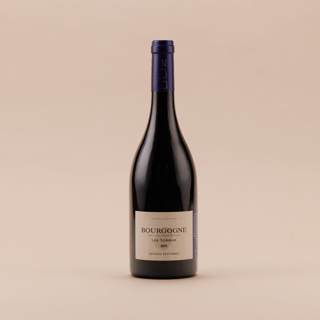 Bourgone Pinot Noir Les Sorbins, 2020 | Côte de Beaune, Burgundy