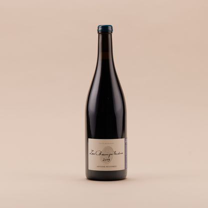 Bourgogne Hautes Côtes de Nuits Les Champs Perdrix, 2019 | Côte de Beaune, Burgundy