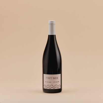 Pinot Noir, 2022 | Loire