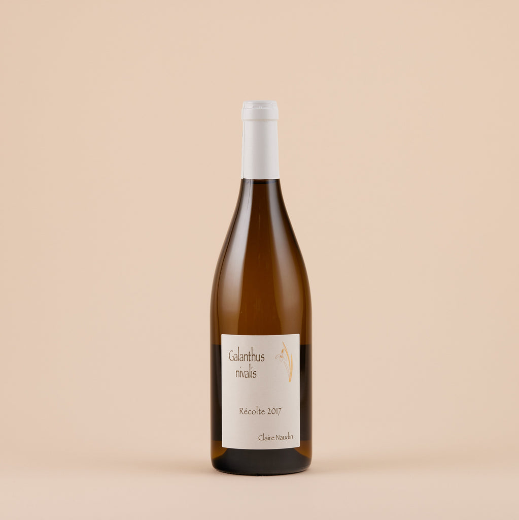 Galanthus Nivalis Pinot Blanc VdF, 2019 | Hautes-Côtes, Burgundy