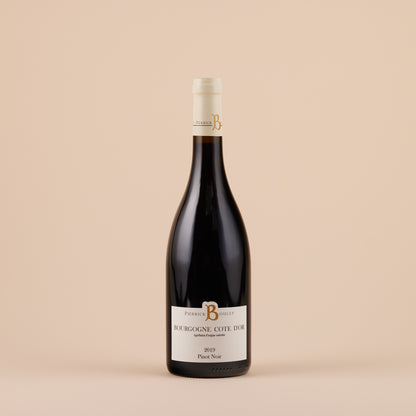 Bourgogne Côte D'Or, 2019 | Côte de Beaune, Burgundy