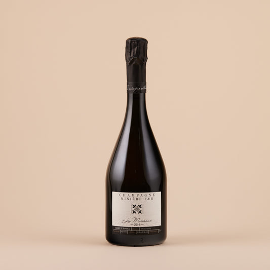 Moineaux Blanc de Blancs, 2016 | Hermonville, Champagne